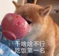 %FRS%F4T(MJYV32P141LFVJ