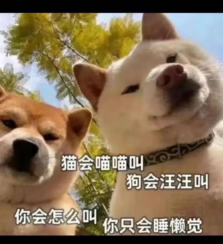 002F2803517DEAC68C13EE5DCCC8F4A1