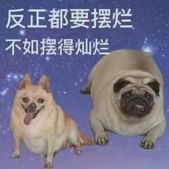 9c9da8666f91bf7321cd49859c9d2391