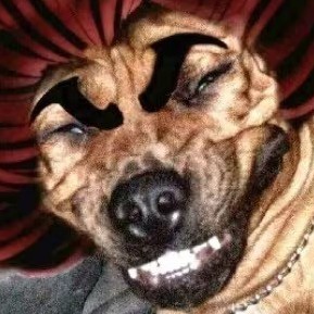 PassbyE2333's avatar