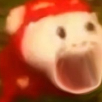 a1431923401's avatar