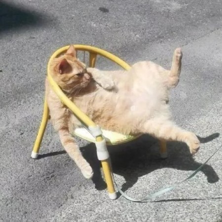 gao452851890's avatar