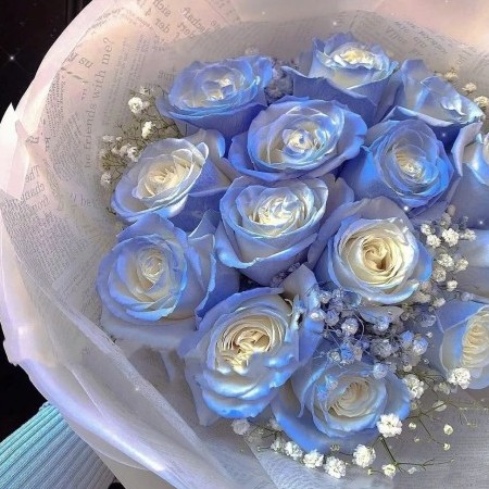 adoretheall3's avatar