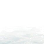 15298566679's avatar