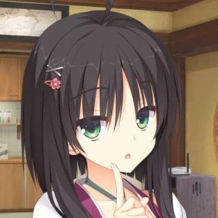 13184497080's avatar