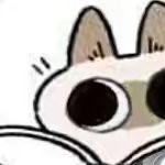 wenmingyanxuzhe's avatar