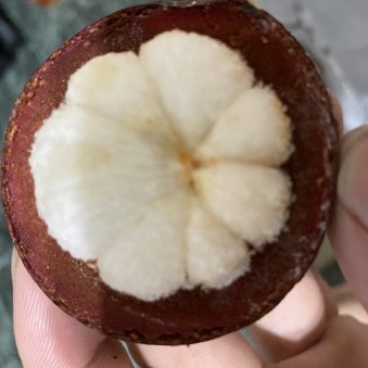 billy704126's avatar