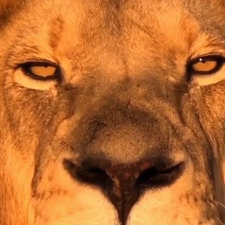 18306751323's avatar