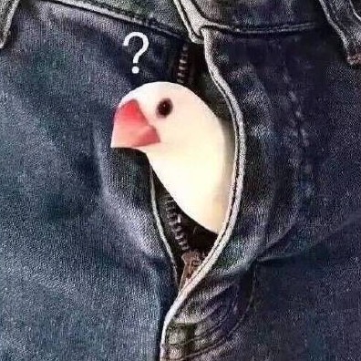 2715355198SB's avatar