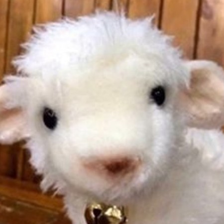 chicaodexieyang's avatar