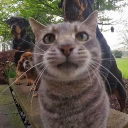 138268021241's avatar