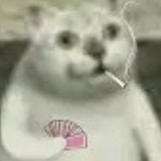 okliqianqian's avatar