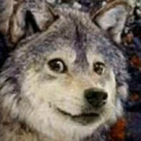 yysyyyyyyy's avatar