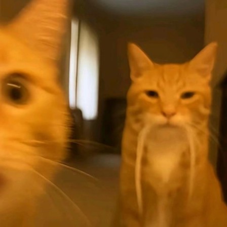 zhongwenlin666's avatar