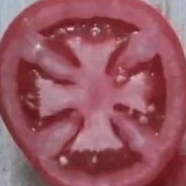 asdfghjkl2847's avatar