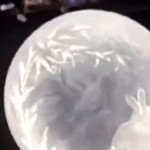 plmokn2580's avatar