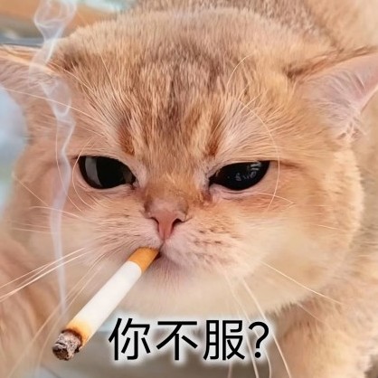 WANGWANGQAZ's avatar