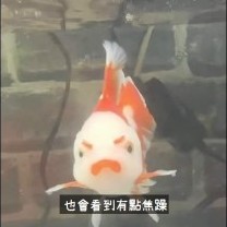 occasionally's avatar