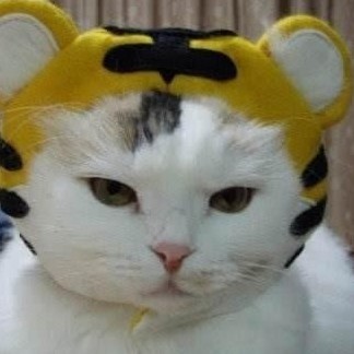 santtt666's avatar