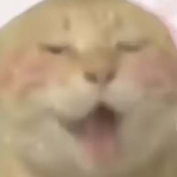 qwopi's avatar