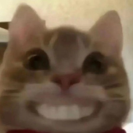 7785366's avatar