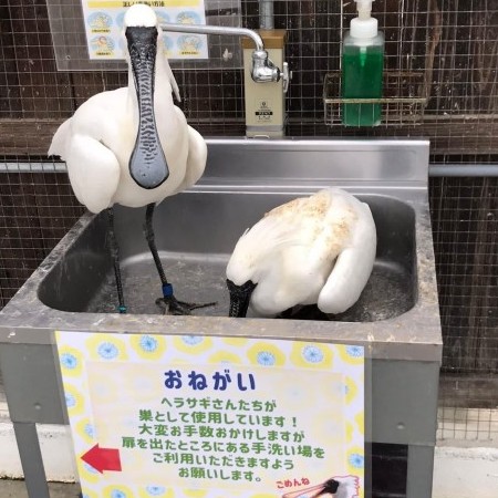 kerorotgkd05's avatar