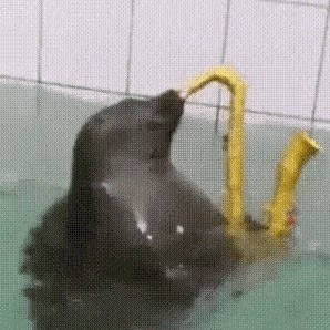 xiatian1231231's avatar