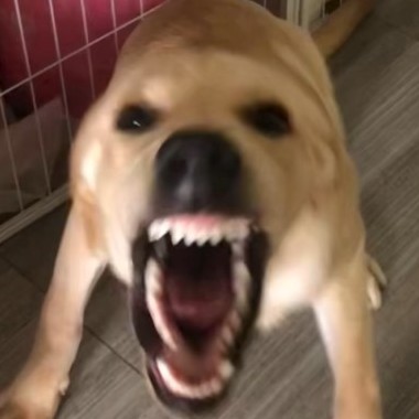 sagjiosjag's avatar