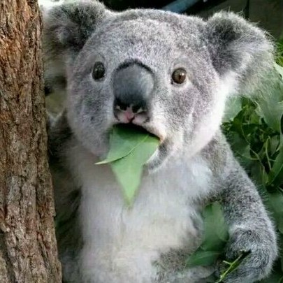 heiqiyifeng's avatar