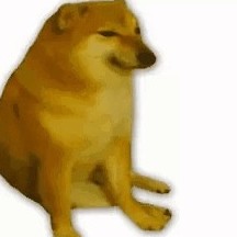 wearedenewking's avatar