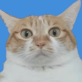 Zhangsan999's avatar