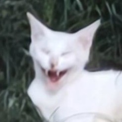 JIUJIUHIME's avatar