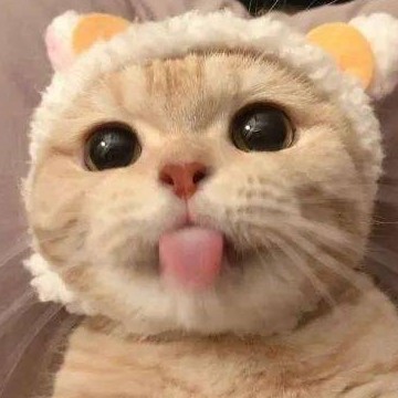 Duck_1122's avatar