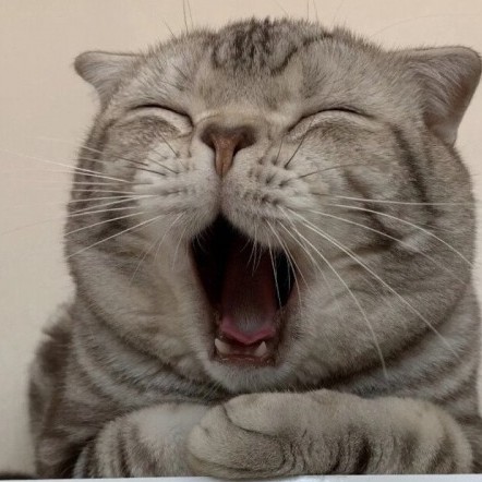 CMT2205120317's avatar