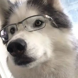 maclion's avatar