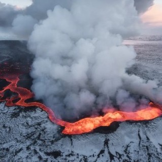 freedomfang's avatar