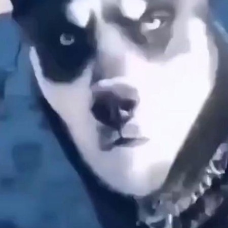 fenglin888's avatar