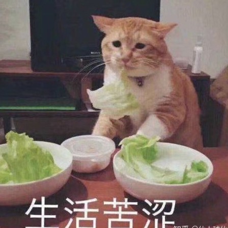 zjb20200127's avatar