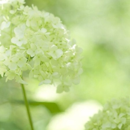 huazaimade123's avatar