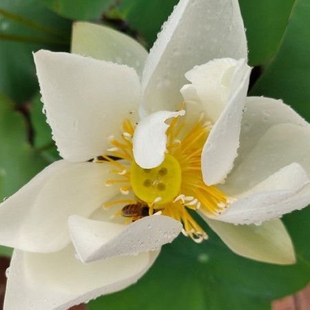 kuongkuongbest's avatar