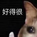 HS_ZTFV's avatar