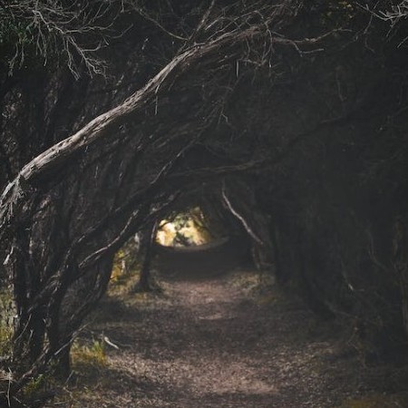 13591420102's avatar