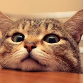 gtr1536@gmail.com's avatar