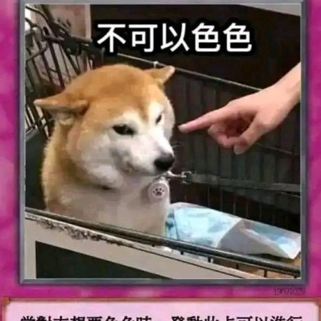zjj158's avatar