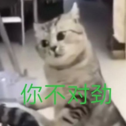 DRAGONZW1997's avatar