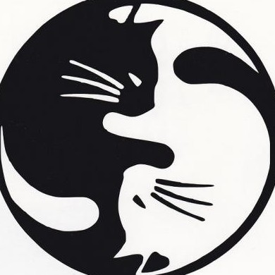 s6e9x's avatar