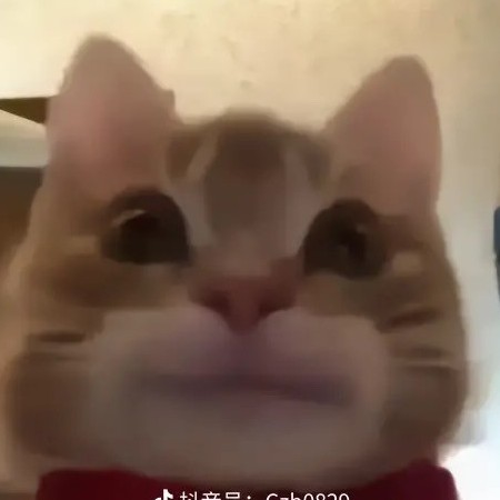 Coldceo2's avatar