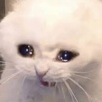 013sarahlin's avatar