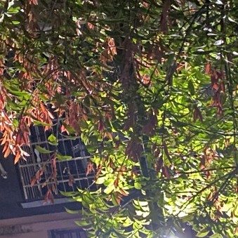 zzy04160703's avatar