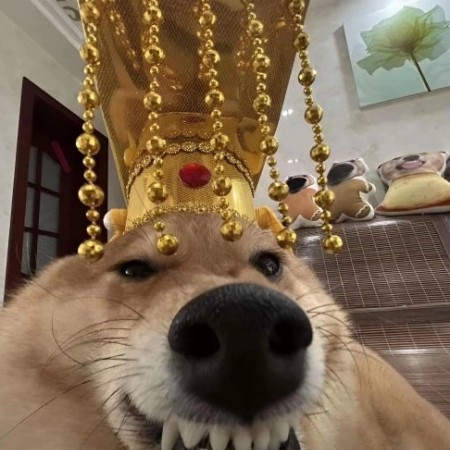 signupjm12345's avatar